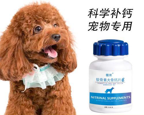贵宾犬的饮食需要注意什么？（能否给贵宾犬喂骨头？如何合理搭配饮食？）