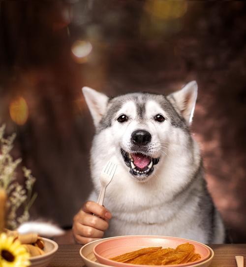哈士奇能否享用人类饮食？（探究哈士奇适合的饮食，让宠物更健康）