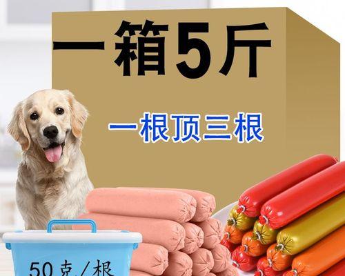 让泰迪成为最棒的宠物伙伴（15个小细节，让你的泰迪更加可爱）