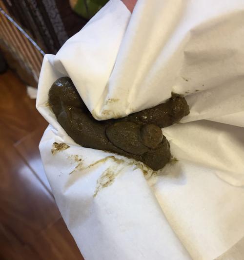 如何让狗狗吃东西不再太杂？（解决狗狗吐又拉的问题，从饮食入手）