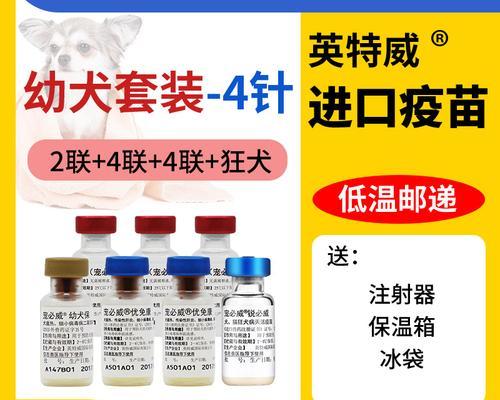 打四联疫苗必备药品（保护爱宠健康的必要措施）