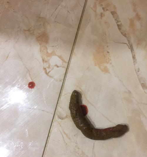 狗狗大便带血问题大揭秘（如何识别、预防和治疗狗狗大便带血问题）