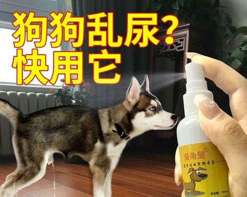狗狗为何拉屎拉尿有血？（探究宠物健康问题，预防疾病重要性）