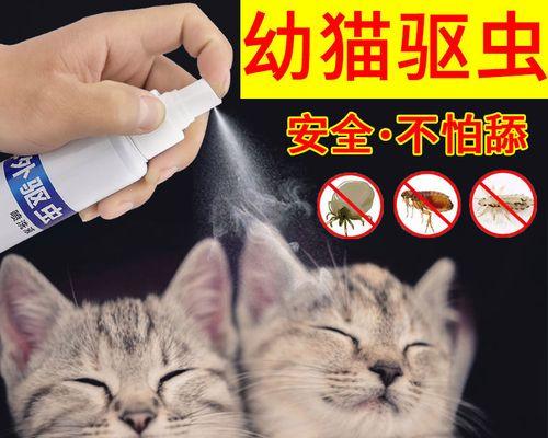 宠物猫咪驱虫攻略（以猫咪驱虫记录为例，让您的爱猫健康又快乐）