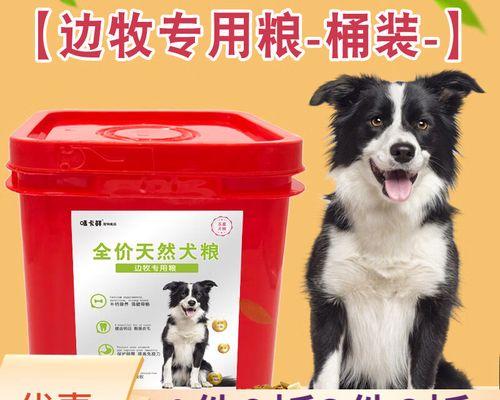 如何正确喂养三个半月大的边牧犬？（以宠物为主，掌握喂养要领，关爱宠物健康）