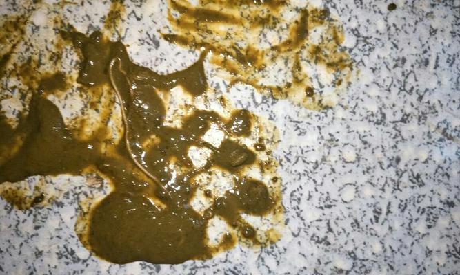 小狗拉粘稠的粪便该如何处理？（宠物主人必看，掌握正确处理方法让家里清爽舒适）