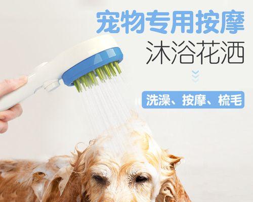小狗冷水洗澡正确方法（让宠物健康又清爽，洗澡时间、频率及注意事项一网打尽）