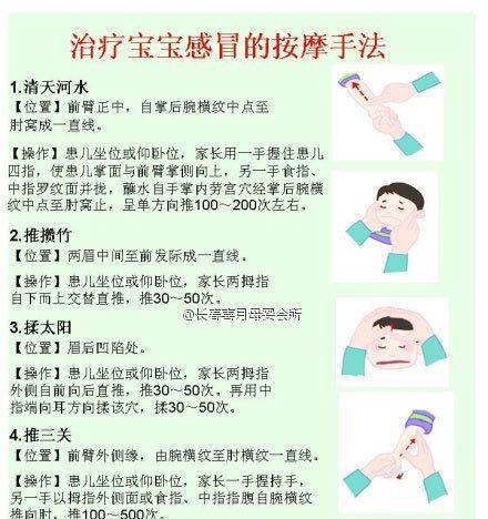 一字吊的饲养方法（打造健康美丽的一字吊水培植物）
