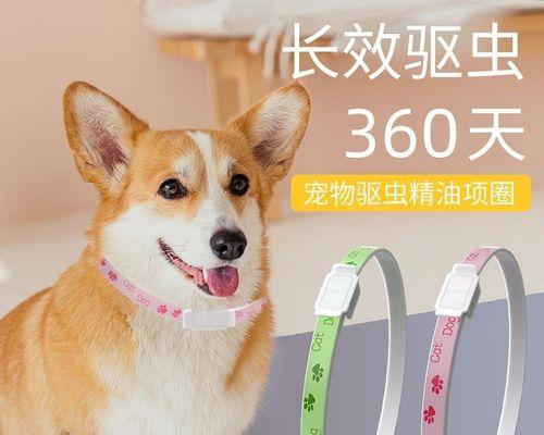 宠物狗为什么要定期驱虫？（保障健康、预防疾病，驱虫是必要的！）