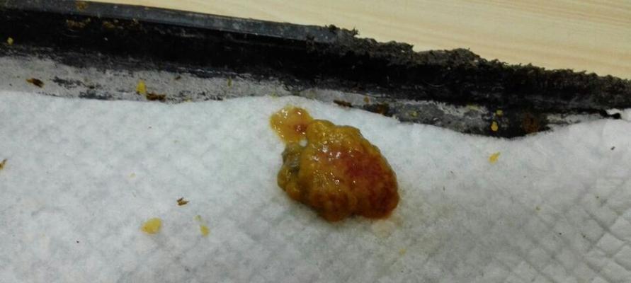 狗狗吃了打虫药没看见虫子，是否已经真的没有虫子？（狗狗打虫药的正确用法及副作用分析）