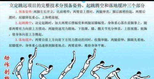 如何训练马尔济斯——宠物的培养之道（15个注意事项，让你成为马尔济斯训练高手）