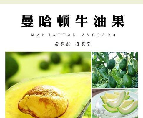 法国斗牛犬缺钙怎么办？（宠物养护之缺钙该怎么补？）