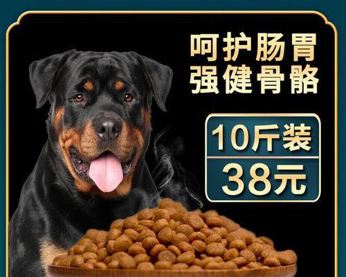 以罗威纳吃什么补钙（照顾宠物健康，从饮食护理开始）
