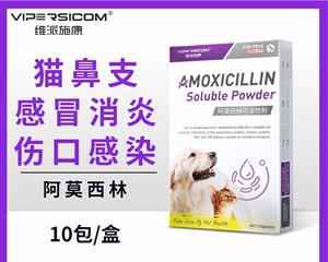 狗狗流鼻涕怎么办？药物治疗方法大揭秘（如何判断狗狗流鼻涕是否需要治疗？）