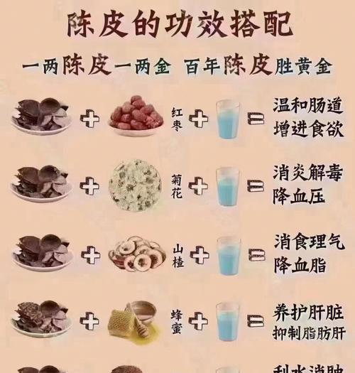 如何让橘猫保持苗条健康（掌握正确的饮食和运动方式）