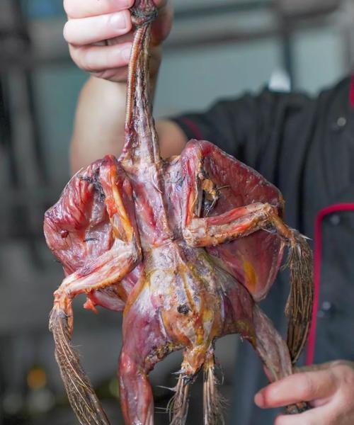 如何训练灵缇逮野鸡（宠物灵缇的训练技巧，让它轻松逮到野鸡）