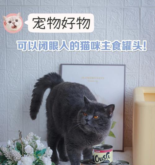 如何选择最适合爱宠的口粮（爱宠的健康离不开正确的饮食，如何为它选择最适合的口粮呢？）