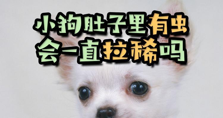 小狗肚子里有蛔虫的原因和解决方法（为什么小狗会感染蛔虫？如何预防和治疗？）