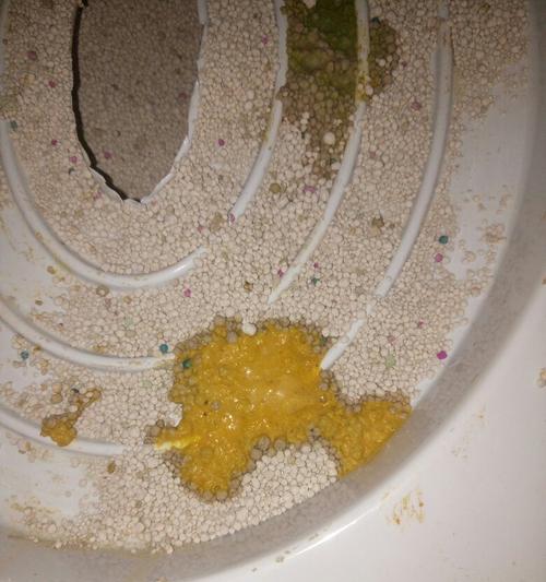 小猫拉肚子流鼻涕可能患上的疾病（宠物爱护从健康开始）