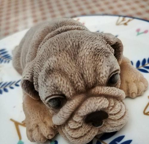 如何为你的沙皮犬提供营养均衡的早餐？（早餐注意事项和食物选择）