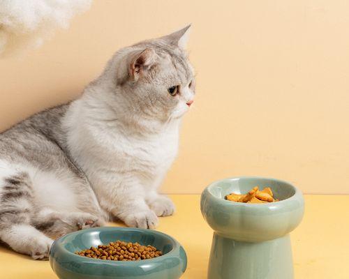 猫咪的慢食盆（宠物猫咪喜欢玩耍，但是怎样才能让它们养成好习惯？）