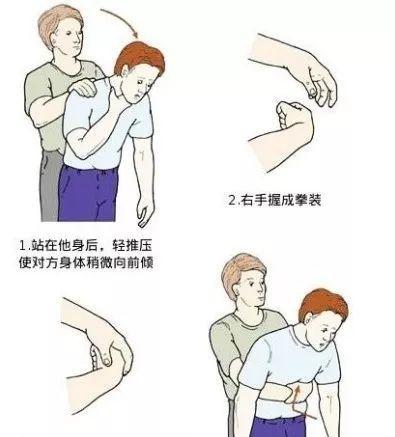 如何处理金毛扑人问题（以宠物为主，让金毛不再扑人）