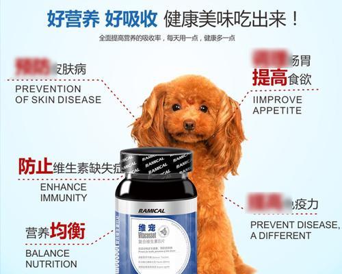 宠物健康关键，维生素不可缺少（探究维生素对宠物的重要性，让爱宠健康长寿）