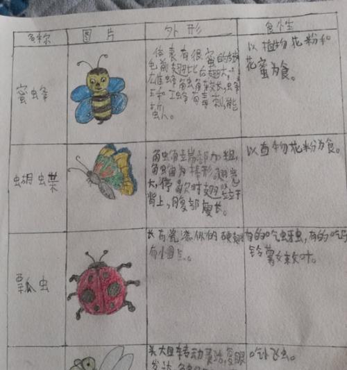 如何科学饲养加拉帕戈斯象龟？（全方位了解饲养方法，轻松打造宠物乐园）