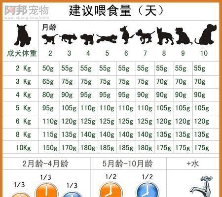 新斯科舍猎鸭犬的饲养指南（了解这个品种，成为一名优秀的养犬家）