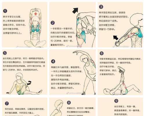 如何有效地运动和护理发育中的哈士奇（宠物主人必知的运动和护理技巧，让你的哈士奇健康成长）