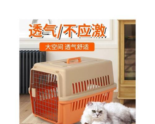 安全高效的宠物猫托运方法（如何为您的宠物猫选择最佳托运方式）