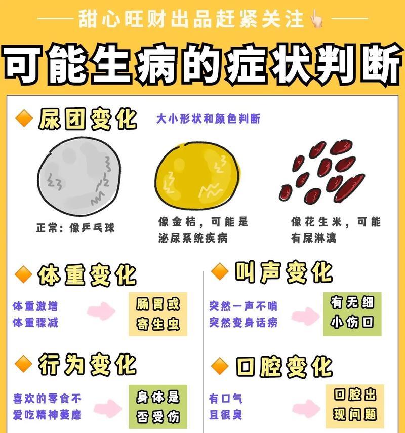 以刚毛猎狐梗为宠物的喂养重点知识（打造健康、快乐的宠物生活）