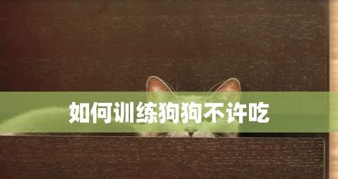 训练宠物狗不乱舔人的方法（有效控制宠物狗不乱舔人行为的技巧）