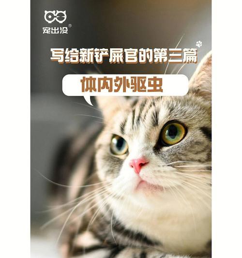 让爱宠远离寄生虫，以猫咪的体内外驱虫注意事项为例（如何正确选择和使用驱虫药品，提高宠物健康幸福感）