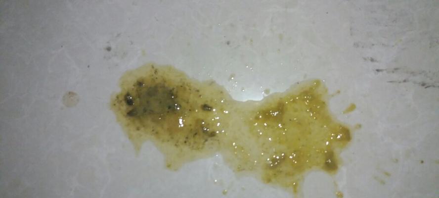 小狗拉稀的原因及应对方法（宠物健康小贴士，轻松解决拉稀问题）
