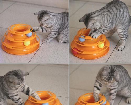 宠物猫咪最爱的玩具是什么？（15个不同类型的玩具推荐，让你的猫咪爱不释手！）