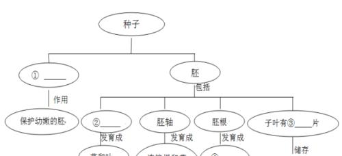 如何科学饲养地鼠？（探索地鼠养殖的实用技巧和经验）