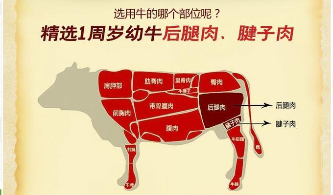 印度棱背龟的饲养方法（了解饲养印度棱背龟的技巧和注意事项，让它们健康成长）