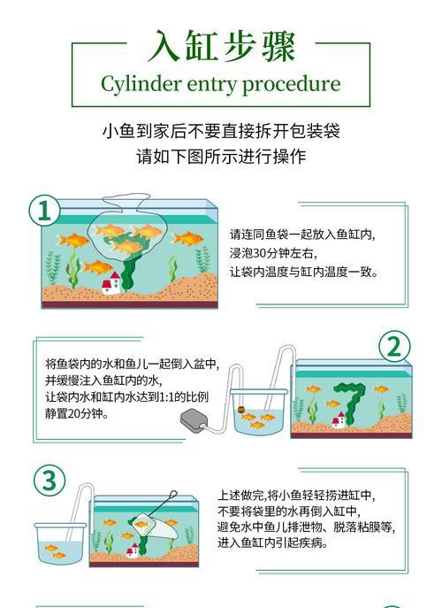 如何科学地饲养印度棱背龟？（印度棱背龟饲养方法详解，从饲料到水质，这些你需要了解！）