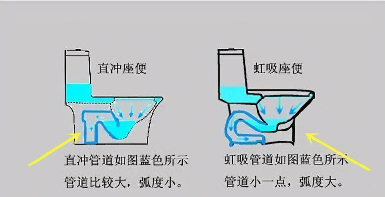 地鼠的饲养方法（如何打造健康可爱的地鼠宠物家庭）