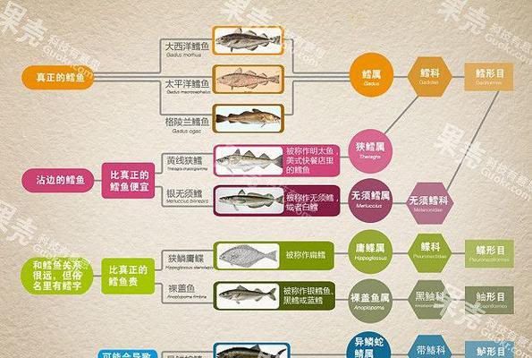 粗毛兔饲养全指南（掌握关键技巧，养出健康可爱的宠物兔）