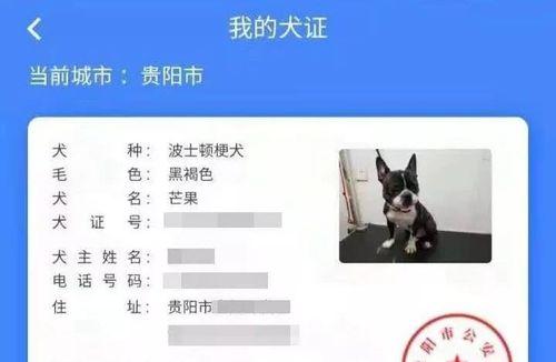 以狗证有什么用？——解读宠物证件的作用与办理方法（从生活保障到宠物养成，看宠物证件的价值和意义）