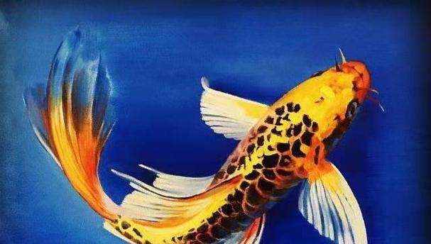 怎样饲养健康活泼的镰蝴蝶鱼？（养鱼爱好者必看，专家教你成功养护镰蝴蝶鱼！）