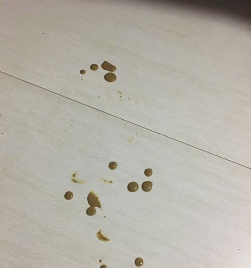 新家的小狗拉稀怎么办？（解决新家小狗拉稀问题的实用方法）