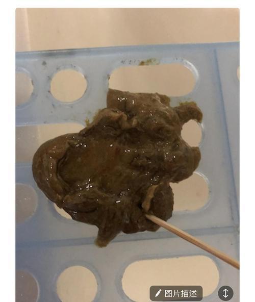 猫咪拉稀一天了，怎么办？（教你如何处理猫咪拉稀的突发情况）