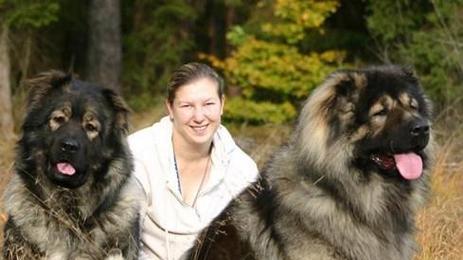 高加索犬饲养指南（打造健康、快乐的宠物生活）