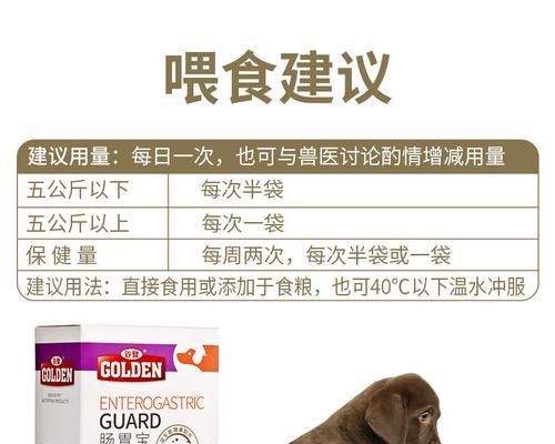 宠物狗狗该如何补钙？（给你的狗狗补钙，从选择好的钙片开始）