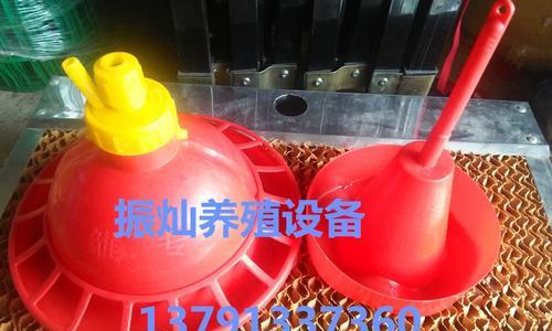 鸭鸽饲养全攻略（以爱心和科学为基础的养殖方法）