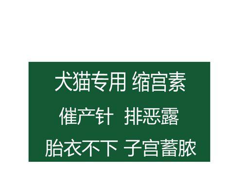 宠物猫打针必须知道的事项（关于宠物猫打针，你应该了解的一切）