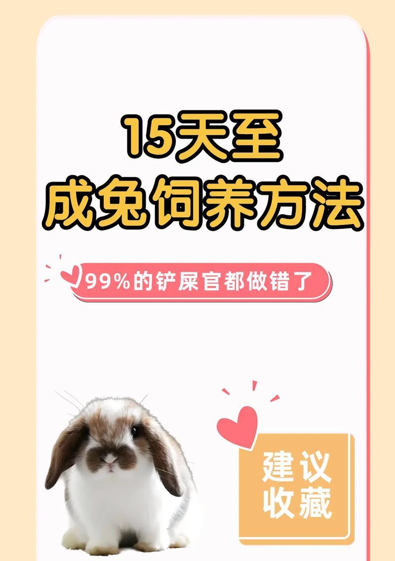 地兔饲养全攻略（从喂养到繁殖，让你的地兔健康成长）